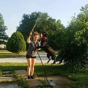 Meet your Posher, Cheyenne